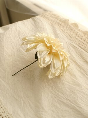 作品の写真3