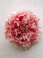 ひらひら花びら大輪芍薬髪飾り　モーヴピンク