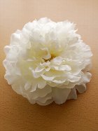 ひらひら花びら大輪芍薬髪飾り　ホワイト